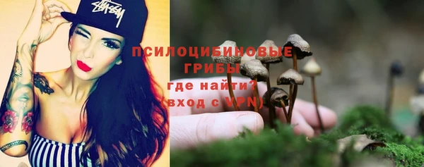 прущий лед Аркадак